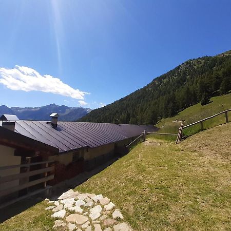 Hotel Restor Natura Malga Mondent Pracorno di Rabbi Zewnętrze zdjęcie