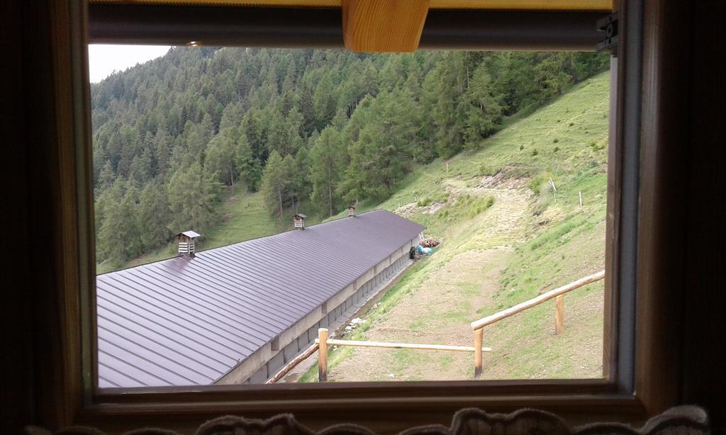 Hotel Restor Natura Malga Mondent Pracorno di Rabbi Zewnętrze zdjęcie