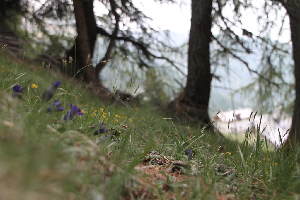Hotel Restor Natura Malga Mondent Pracorno di Rabbi Zewnętrze zdjęcie